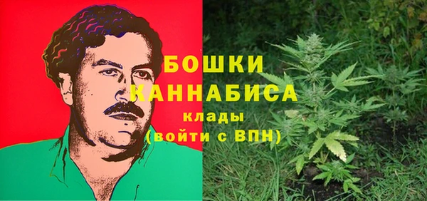 крисы Абдулино