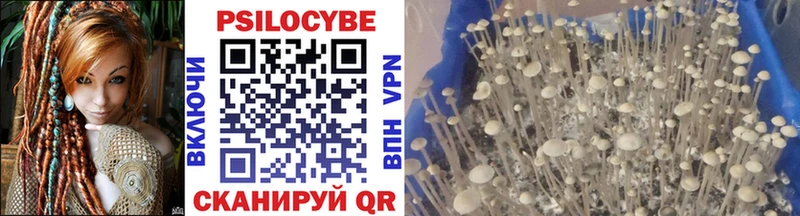 Псилоцибиновые грибы Cubensis  где купить   Россошь 