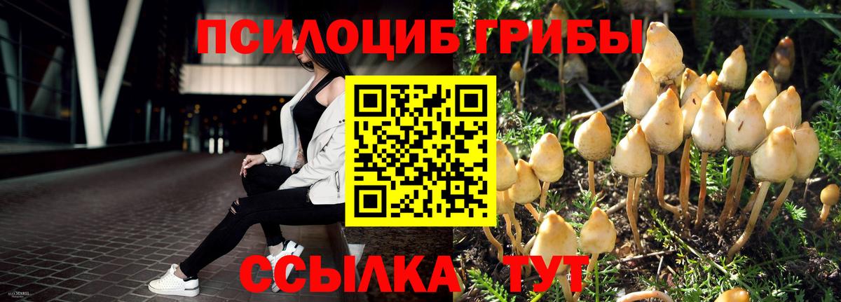 Псилоцибиновые грибы MAGIC MUSHROOMS Россошь