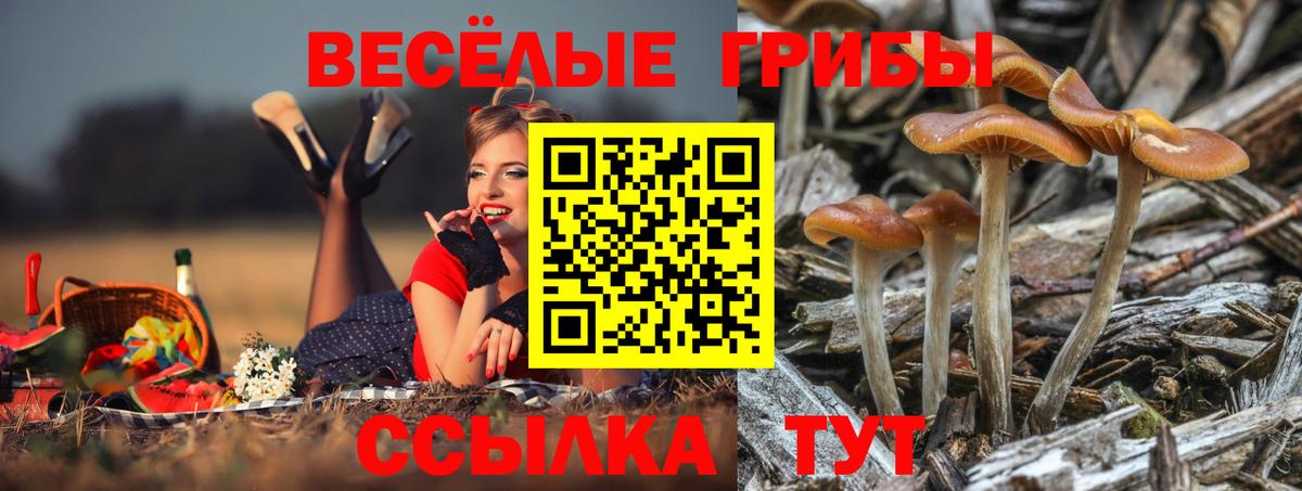 Галлюциногенные грибы Magic Shrooms Россошь